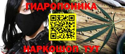сатива Канаш